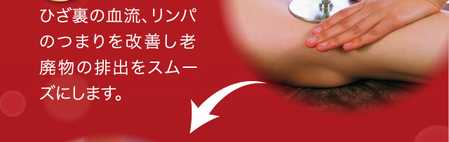 ひざ裏の血流、リンパのつまりを改善し老廃物の排出をスムーズにします。